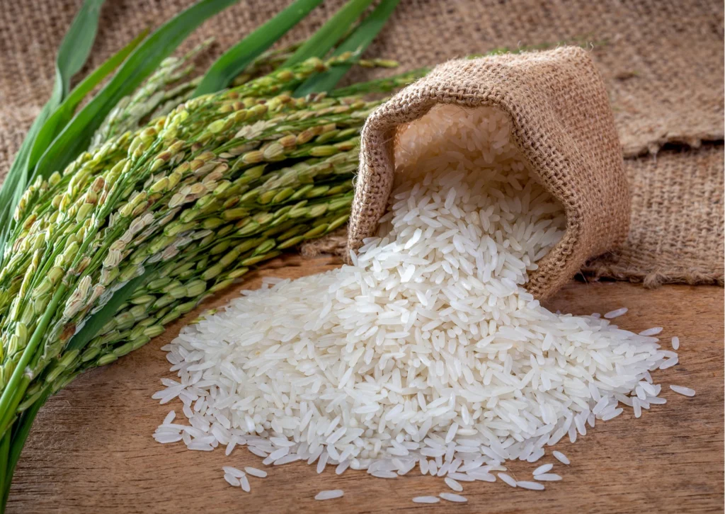 RICE